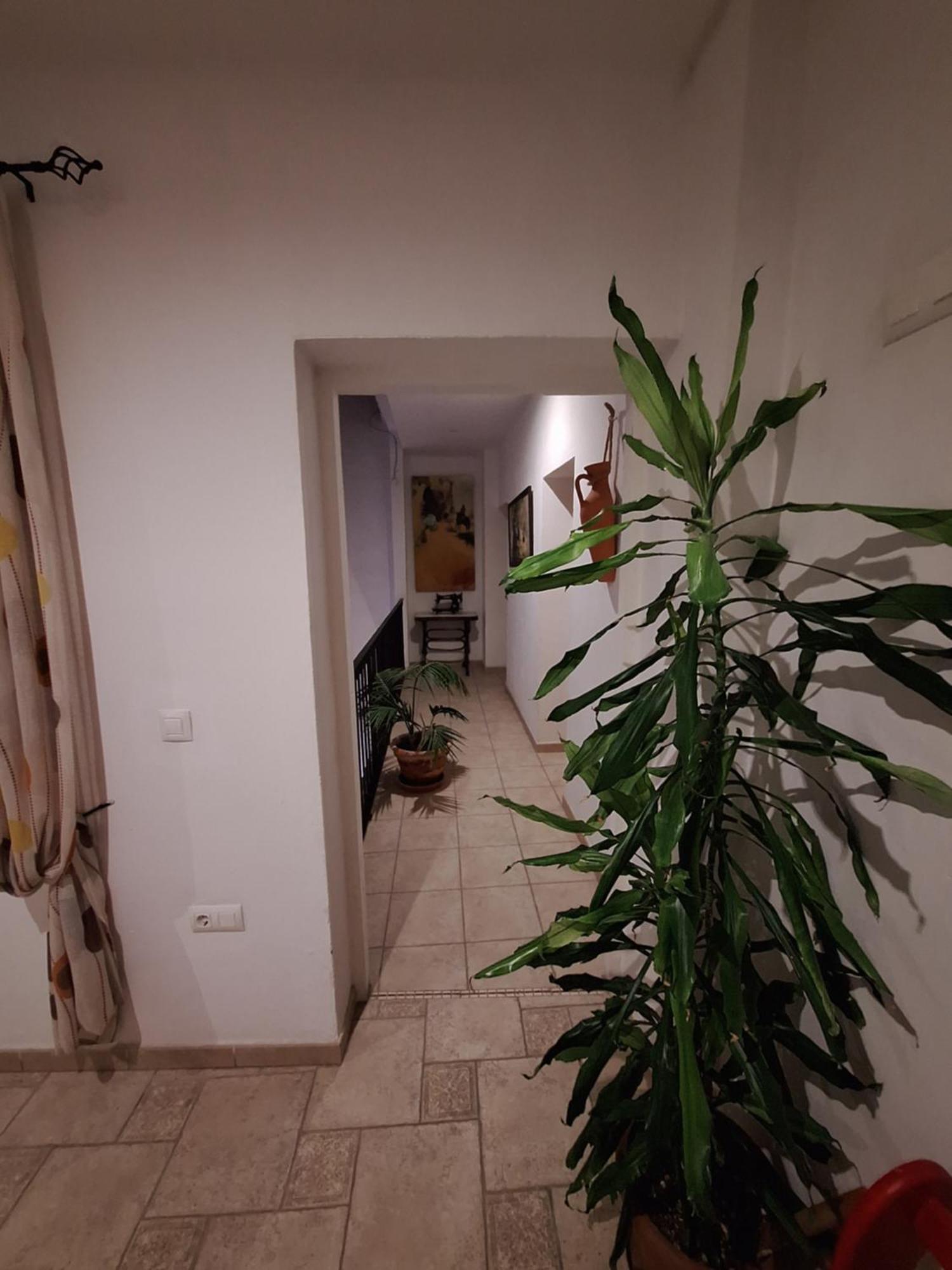 Hostal Fenix Jerez de la Frontera Exteriér fotografie